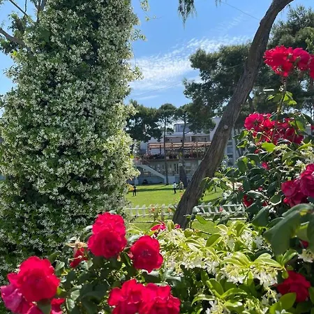 Divjaka Resort Divjake