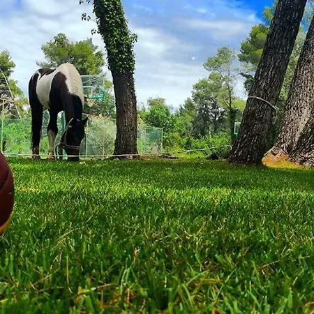 Station touristique Divjaka Resort