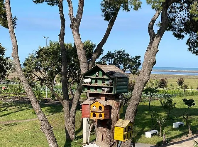 Divjaka Resort Resort Divjake