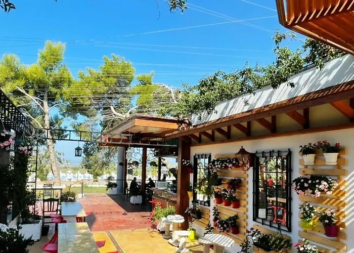 Divjaka Resort Feriested