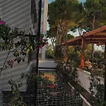 Divjaka Resort Rezort Divjake