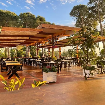 Rezort Divjaka Resort