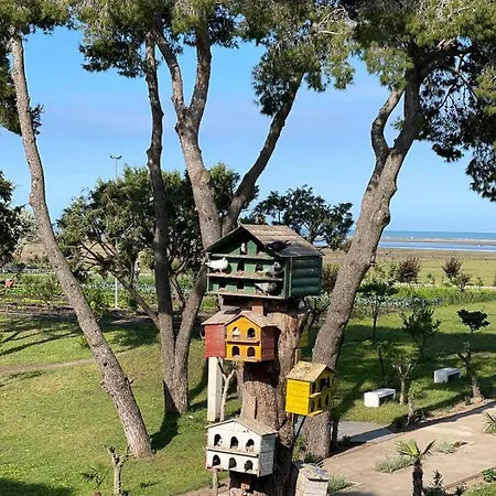 Divjaka Resort Курортный комплекс Дивьяка