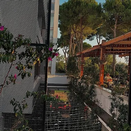 Divjaka Resort Rezort Divjake