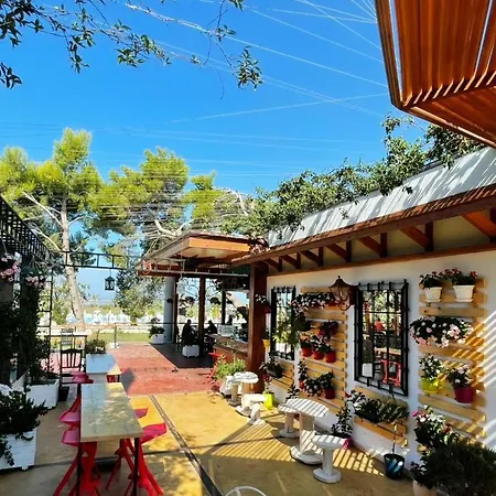 Divjaka Resort Rezort