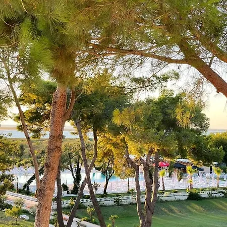 度假村 Divjaka Resort 迪夫亚卡
