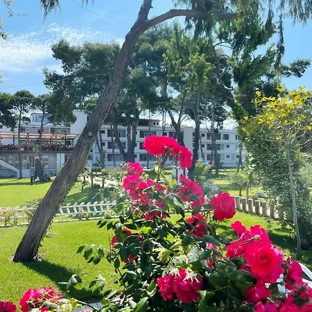 Divjaka Resort Rezort Divjake
