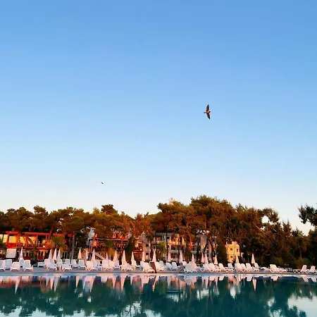 Divjaka Resort Resort