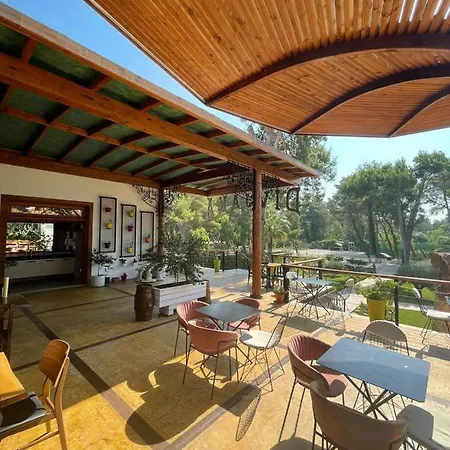 Divjaka Resort Rezort Divjake