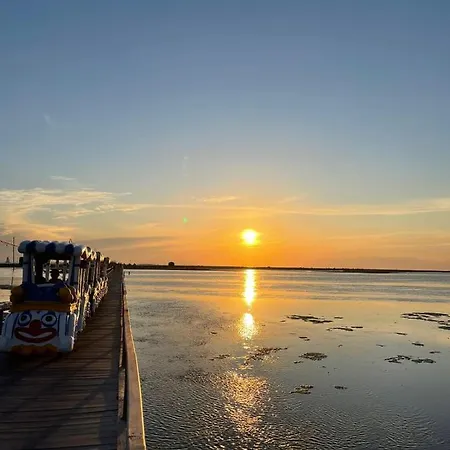 Divjaka Resort Дивьяка