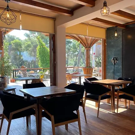 Divjaka Resort Rezort Divjake