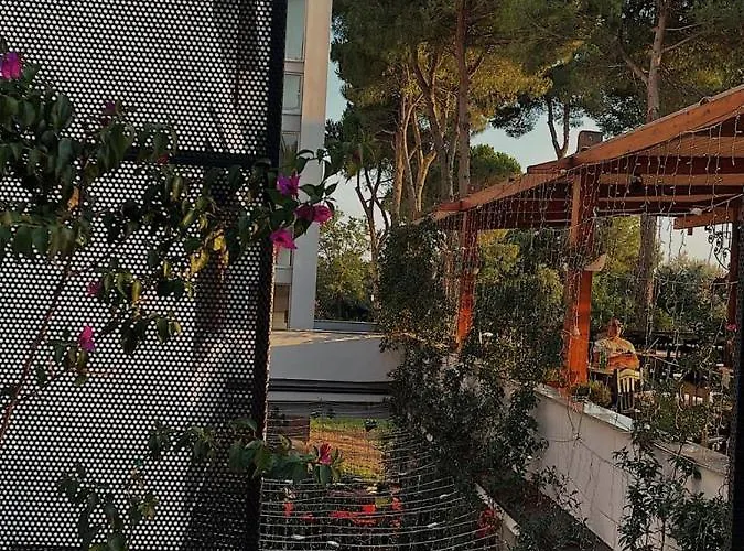 Divjaka Resort Resort Divjake