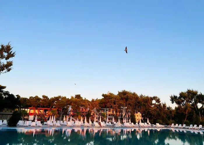 Divjaka Resort Resort