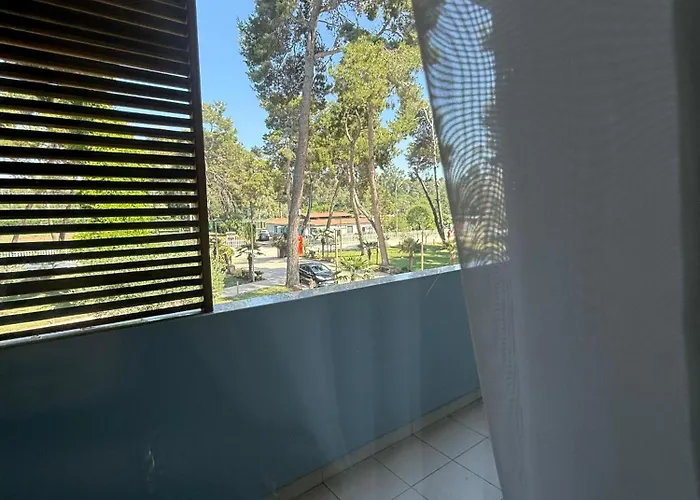 Divjaka Resort *