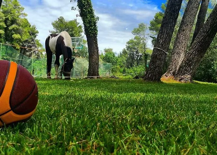 Resort Divjaka Resort